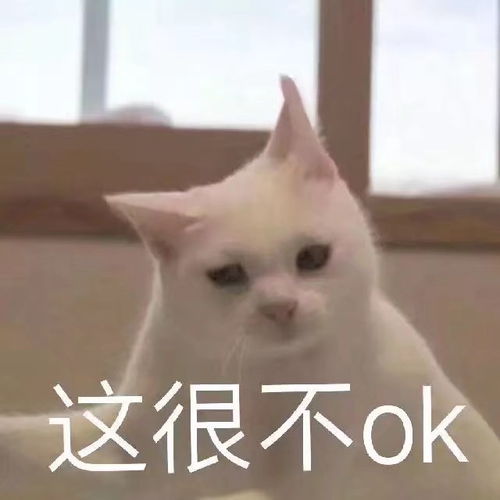 让你稳居沙雕c位的憨憨文案
