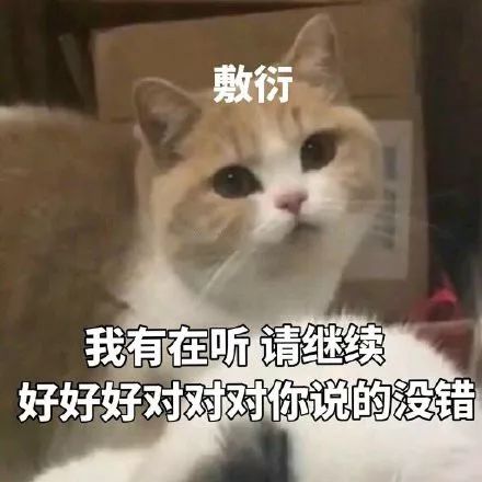 搞笑动态图gif表情包我养你啊