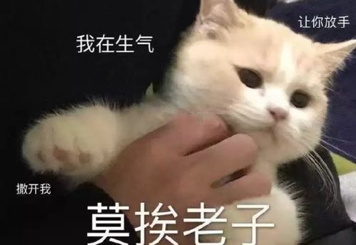 老子想怎样就怎样表情包大全