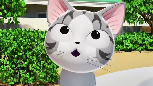 甜甜私房猫看小奇可爱的样子,可奇也高兴极了