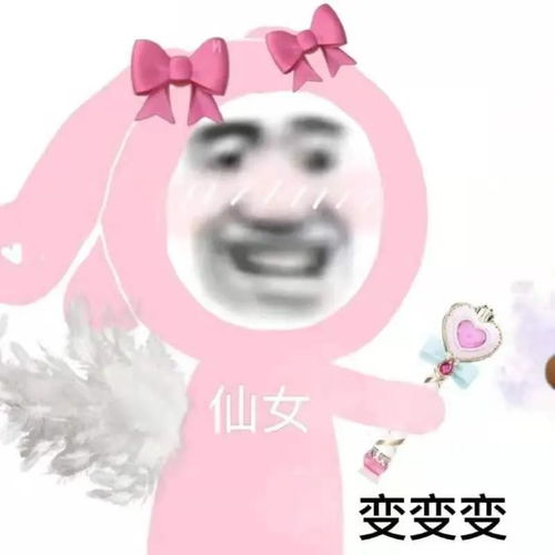 表情包分享为什么不回我消息,就因为我没发吗