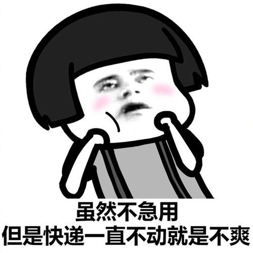 双十一过后,你们都是这样的呢