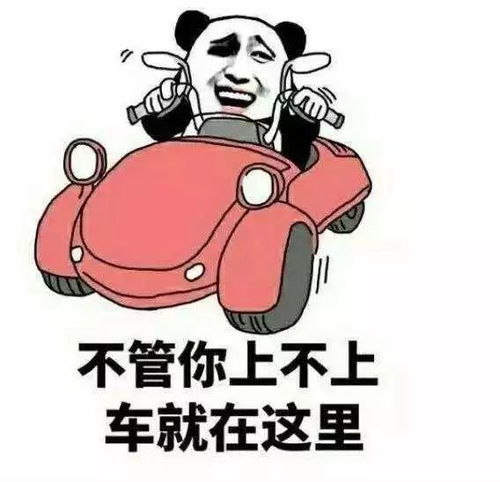 小破孩害羞表情包老司机