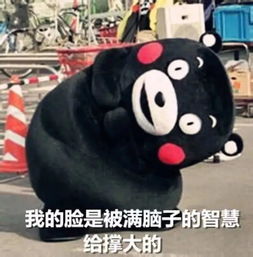 我们换届啦