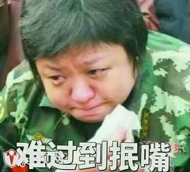 星热点韩红表情包为什么火韩红表情包无水印大全