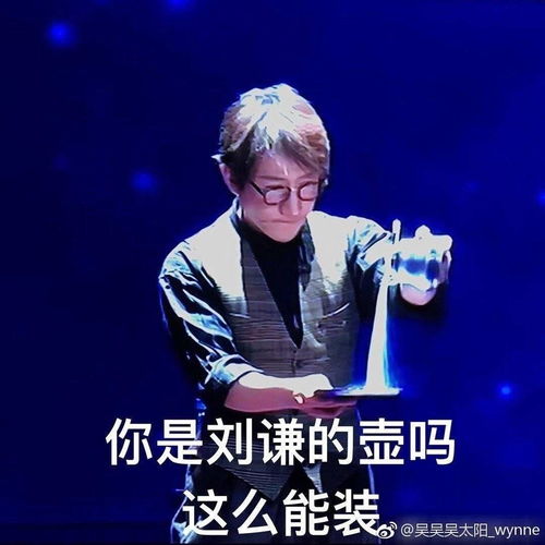 怼人表情包整套刘谦