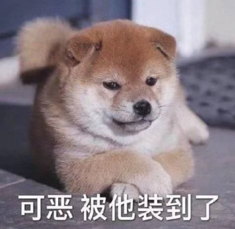 星舰三号开启人类航天新篇章马斯克嗨到不行