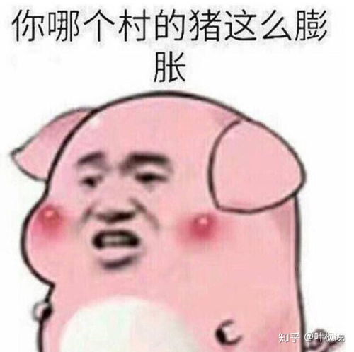 猪吃饱打嗝满足表情包