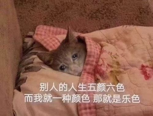 网易又又又刷屏了彩虹屁背后藏着什么秘密