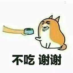 生日当天公布当爹,爱情的结晶能否让袁弘的感情不再受质疑