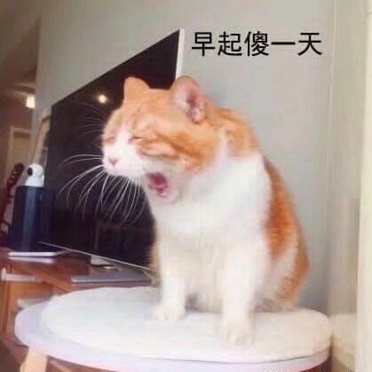 表情包分享这么快又新年了