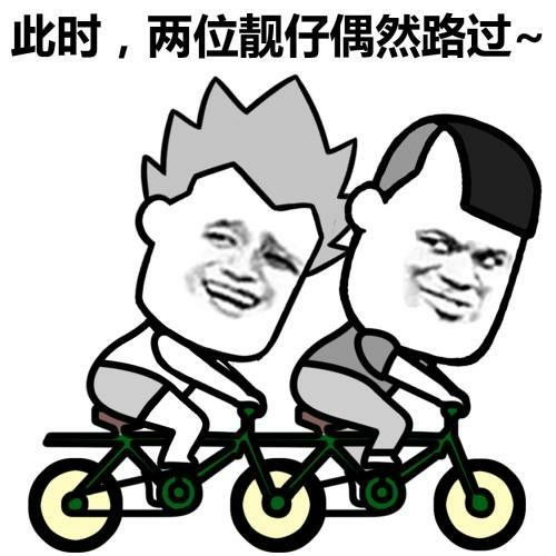 搞笑gif段子狗视觉陷阱坑爹呢