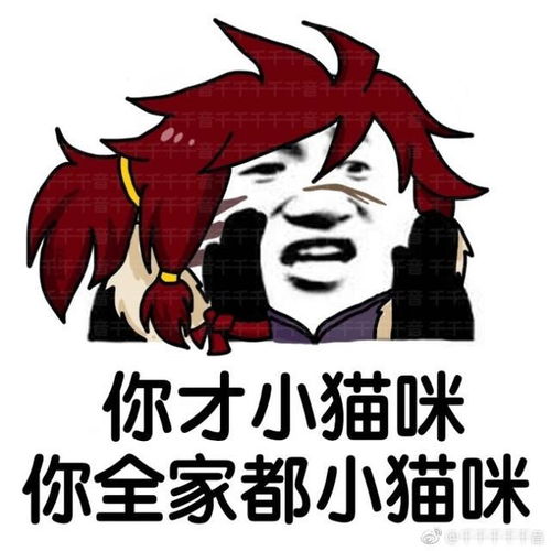 王者荣耀表情包裴擒虎变猫咪还吃了庄周的鱼