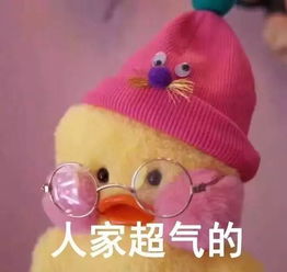 除了对象,你还能从海南岛带什么伴手礼回家