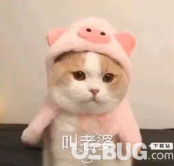 抖音叫媳妇叫老婆说爱我套图表情包分享