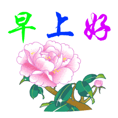 早上好问候美图,早安问候语句祝福
