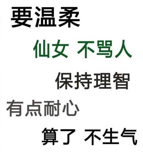 特别指南做一个机智的追星girlboy