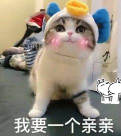 王者一哥气得关播,得知原因后,粉丝我们支持你这样做