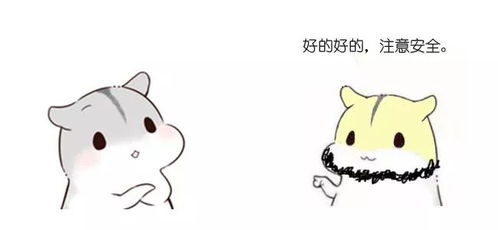 漫画什么是冒泡排序