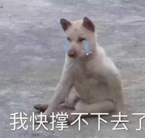 表情包你就是个弟弟