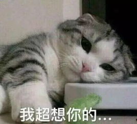 蕾哈娜为了进军国内市场,甚至cos起了欧阳娜娜