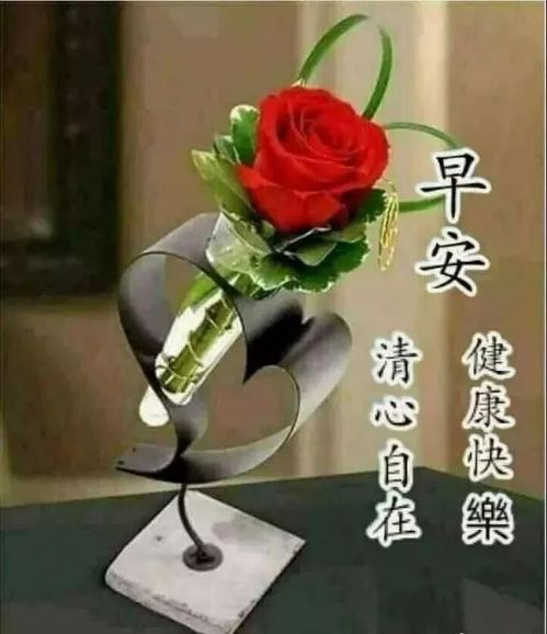 早安祝福精美图片,早上好祝福词语,朋友圈温馨祝愿