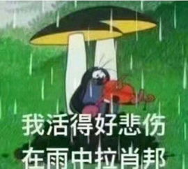 伤心斗图表情包心碎
