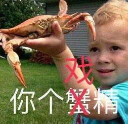 假笑男孩gavinthomas开微博啦准备好收表情包了吗