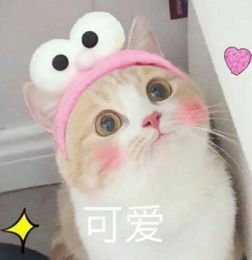 发表情表情包大全微信表情包qq表情包fabiaoqing.com