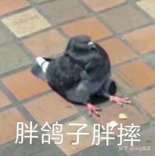 1599元起的红米k30实际体验如何符合你的预期吗