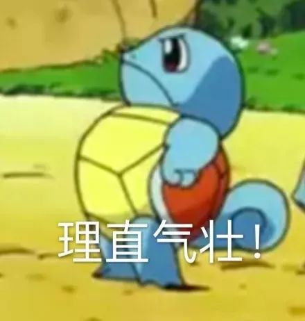 vue表情包杰尼龟