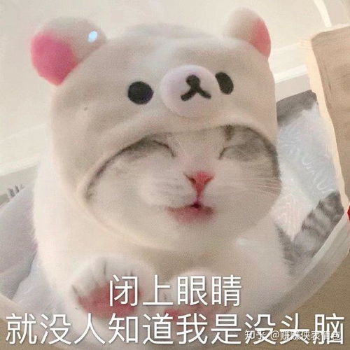 微信表情包图片适合发朋友圈