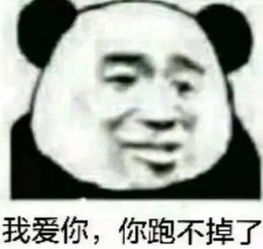 斗图表情我看你挺会花钱的,在我身上花点行吗