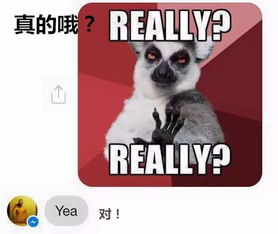 臭小子死缠烂打追女儿,爸比只好出动表情包了