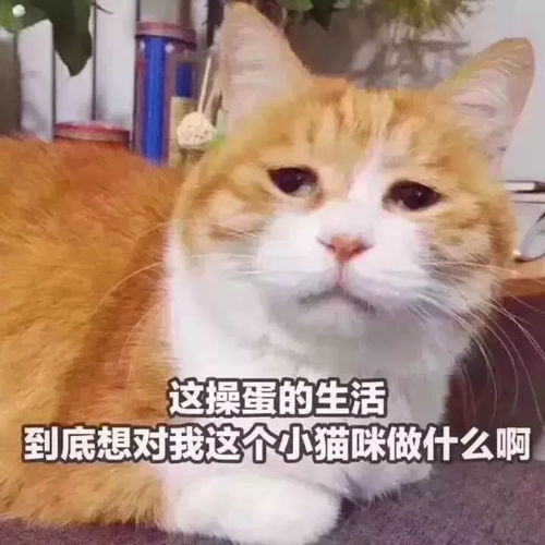 再上7天班,达州人集体放假但这几个坏消息保证虐哭你