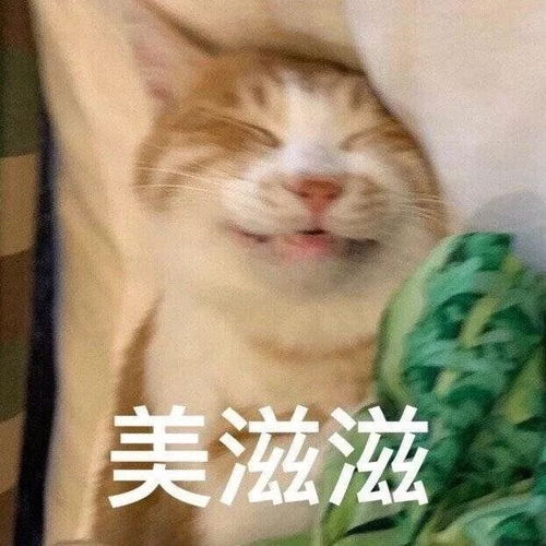 美滋滋表情包我可以去你家睡觉吗就一晚