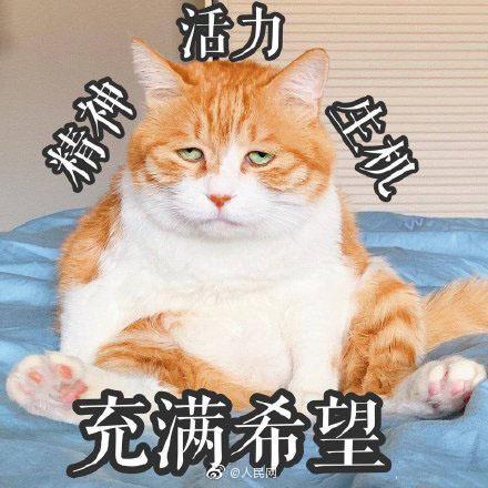 回想自己的追星史,竟然从来没做过女友粉,看昨天l...