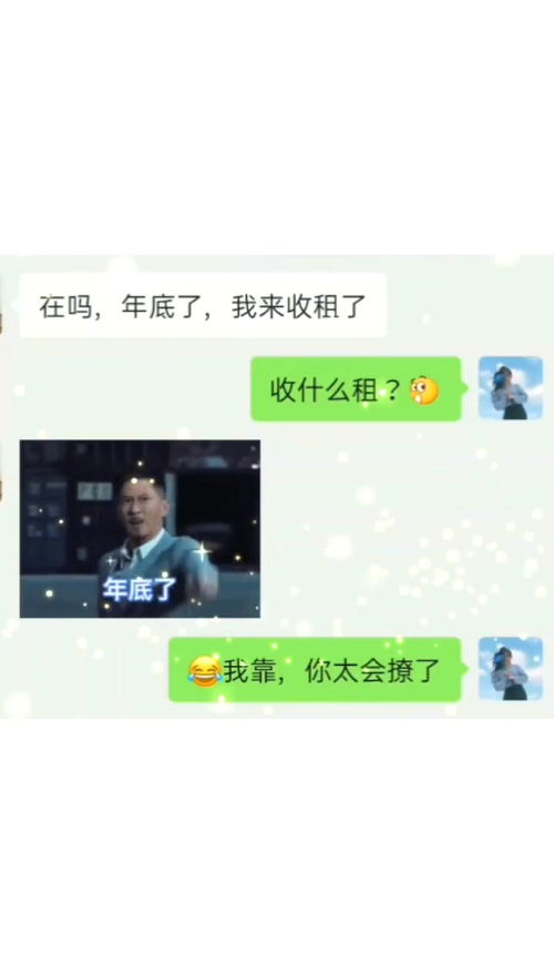 每帧都是表情包搞笑热门沙雕操作表情包小可爱已上线聊天记录