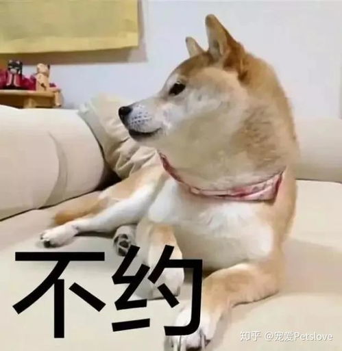 当姑娘来了姨妈,不要做无措的爸妈