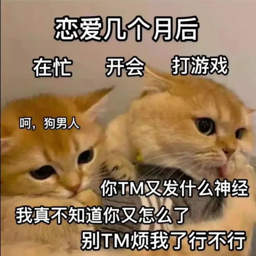 一起做个垃圾吧