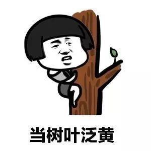 笑话一好友在圈里炫耀出国旅游,第二天我们在早餐店相遇了