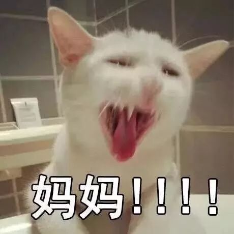 快把我妈带走