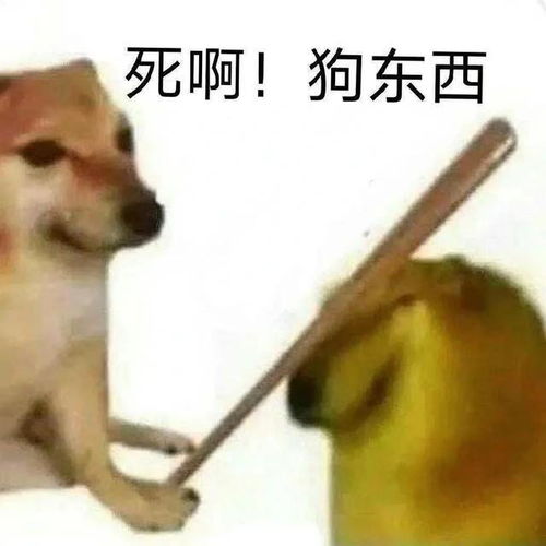 沙雕柴犬表情包