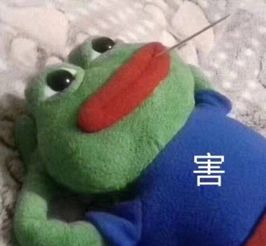 现在的人也太重口了吧,连猪都不放过轻松一刻11月25日晚间版