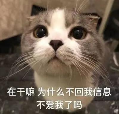 这甜甜的表情还不发给对象吗