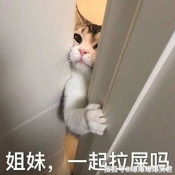 爆笑段子哥们开了一个大公司,还被央视晚会邀请