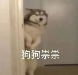 2020考研福音暴击考研第一步