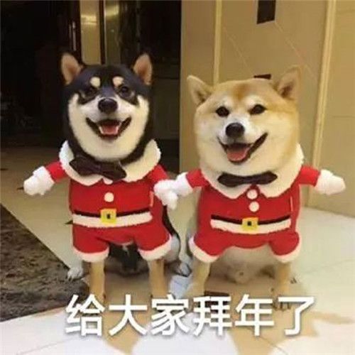 2020年请对我好一点表情包预约2020年请对我好一点表情包完整版预约99安卓游戏