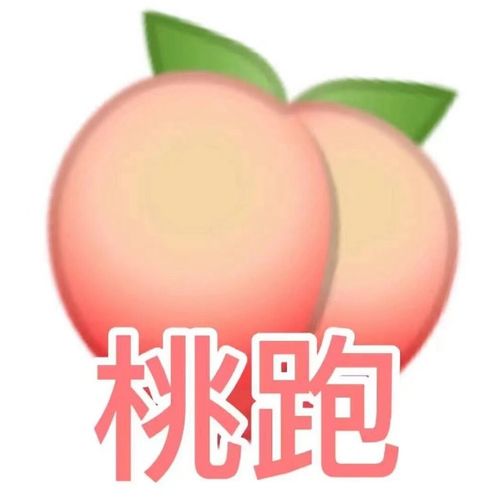有人吗表情包可爱水果