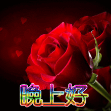 晚上好微信表情微信晚上好的问候语
